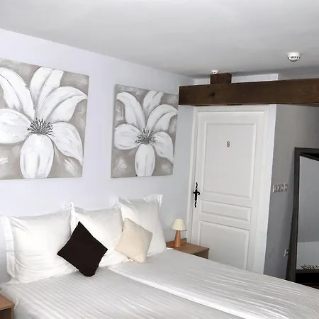 Hotel Hotel-restaurant Le Gasseau